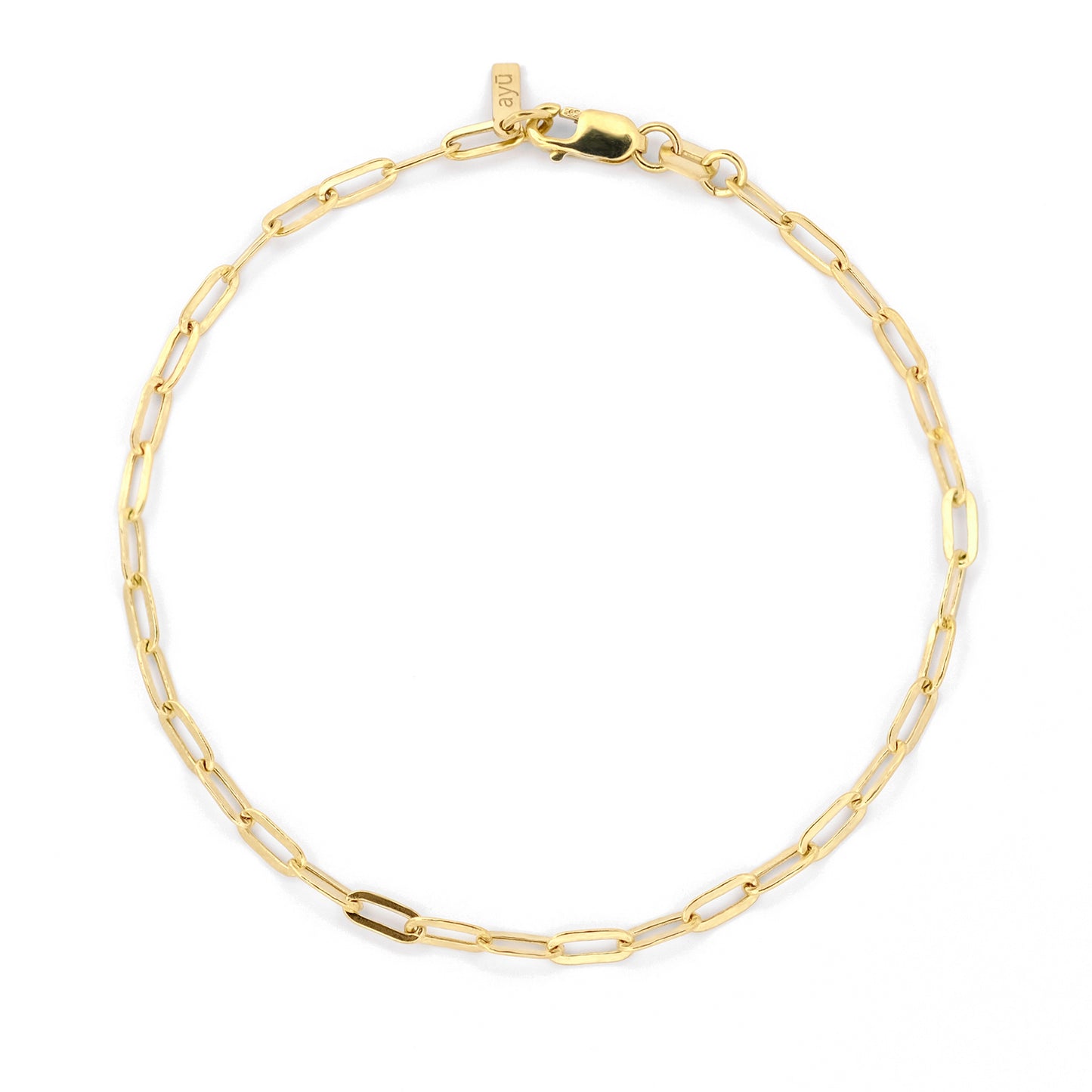 Paperclip Chain Anklet
