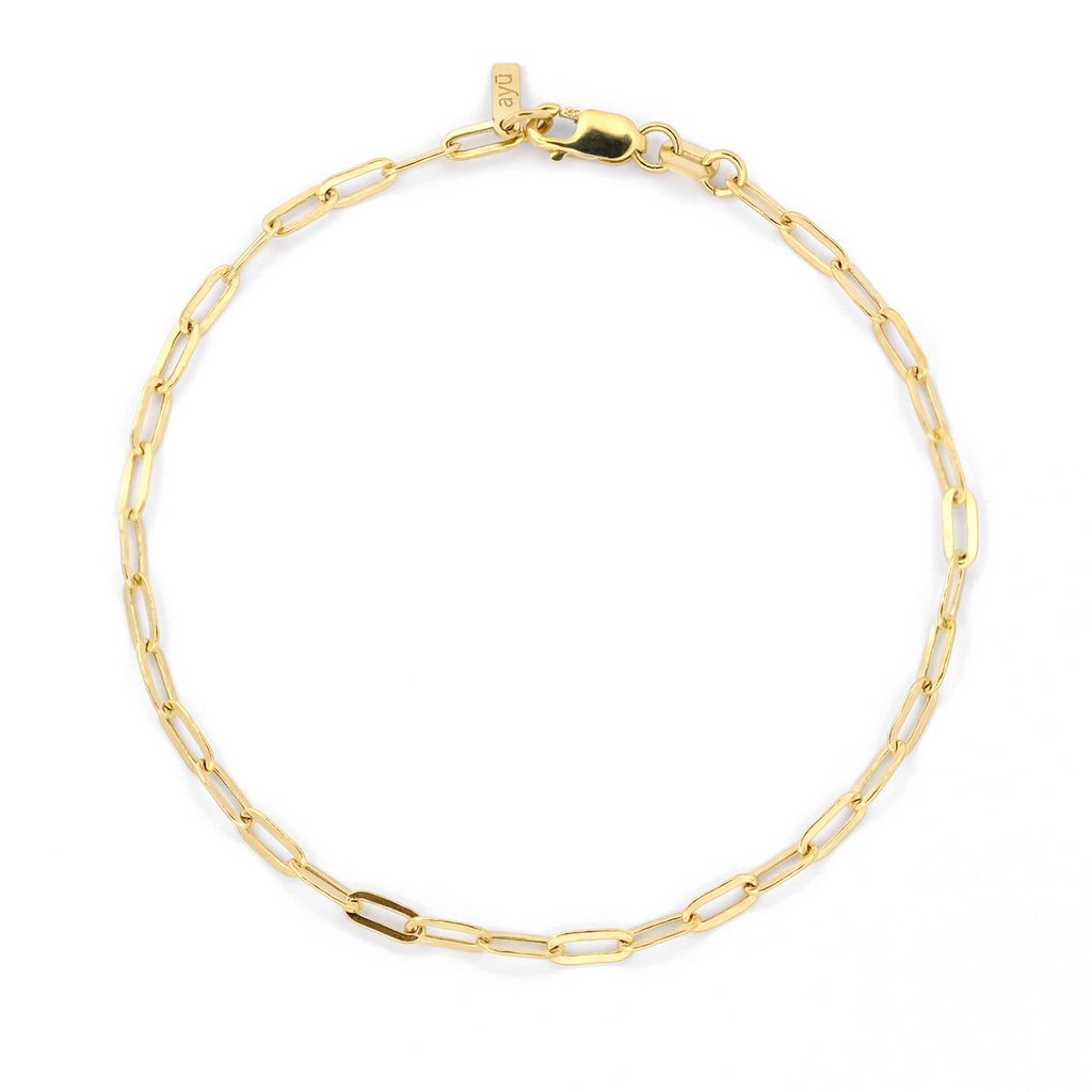Paperclip Chain Anklet